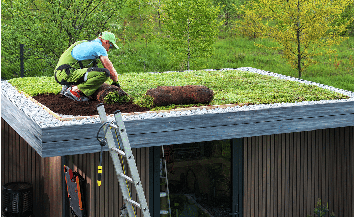 Green roofing